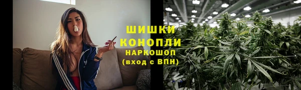 трава Новозыбков