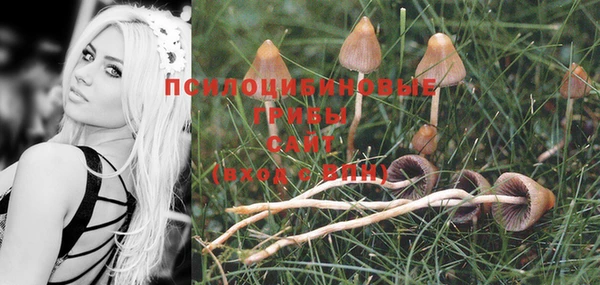 первитин Няндома
