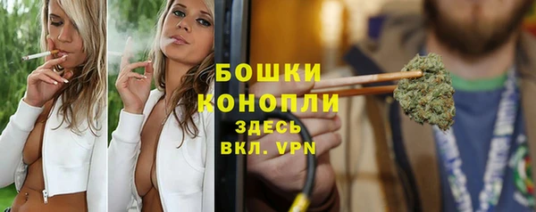 первитин Няндома