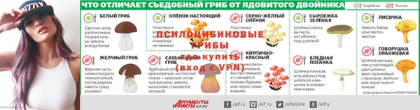 трава Новозыбков
