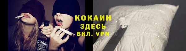 трава Новозыбков