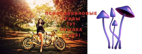 первитин Няндома