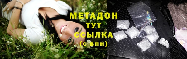 трава Новозыбков