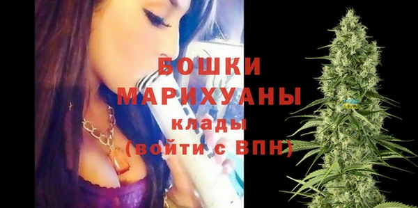 трава Новодвинск