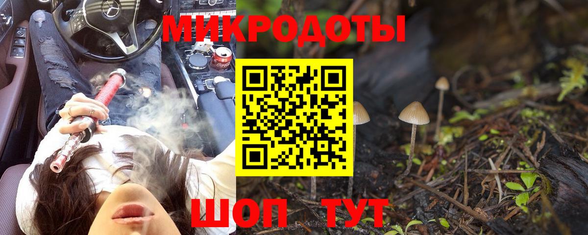 Галлюциногенные грибы прущие грибы  Вход с VPN  Печора 